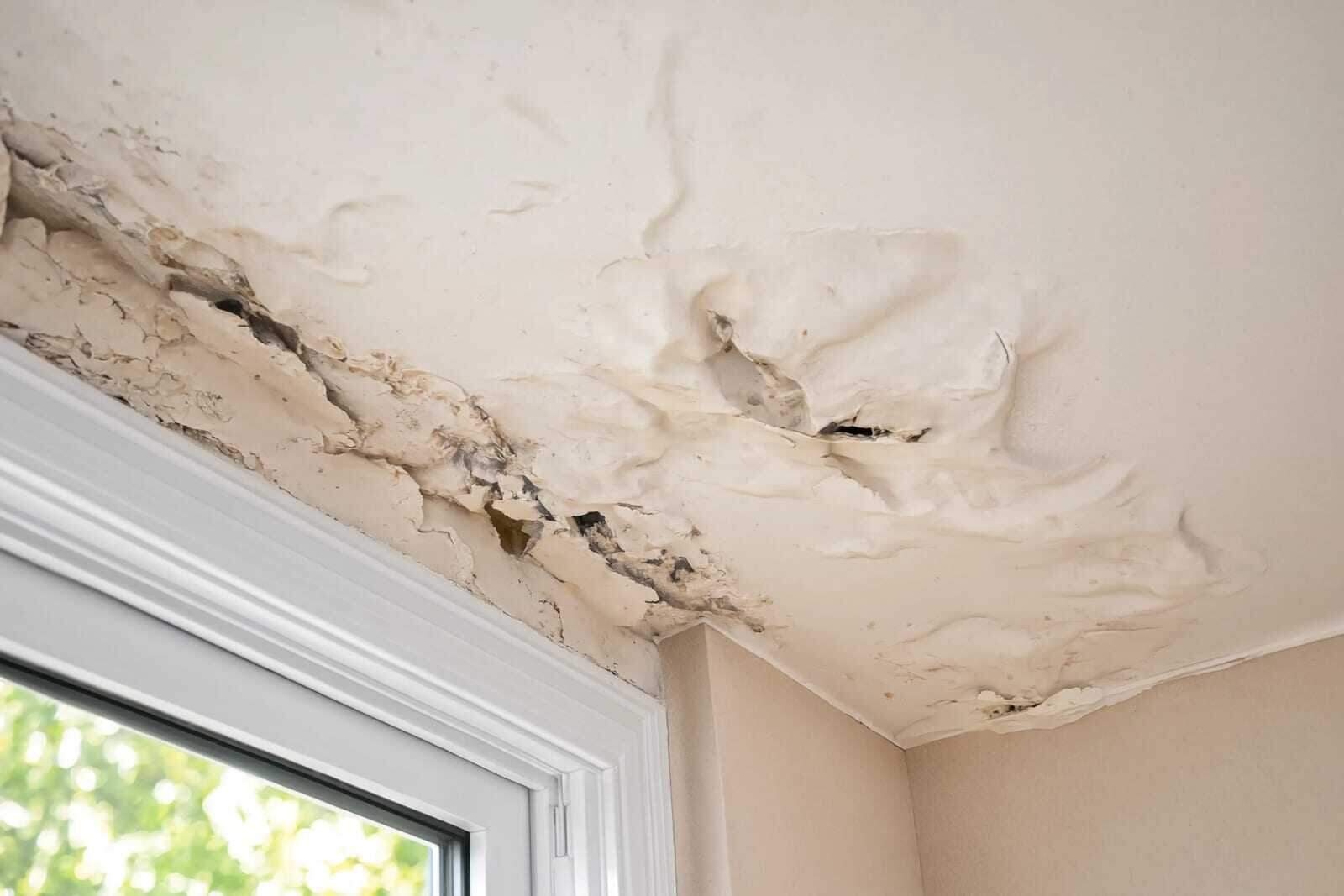 Water-stained, blistering ceiling inside a Houston home from a roof leak, before drying and repair