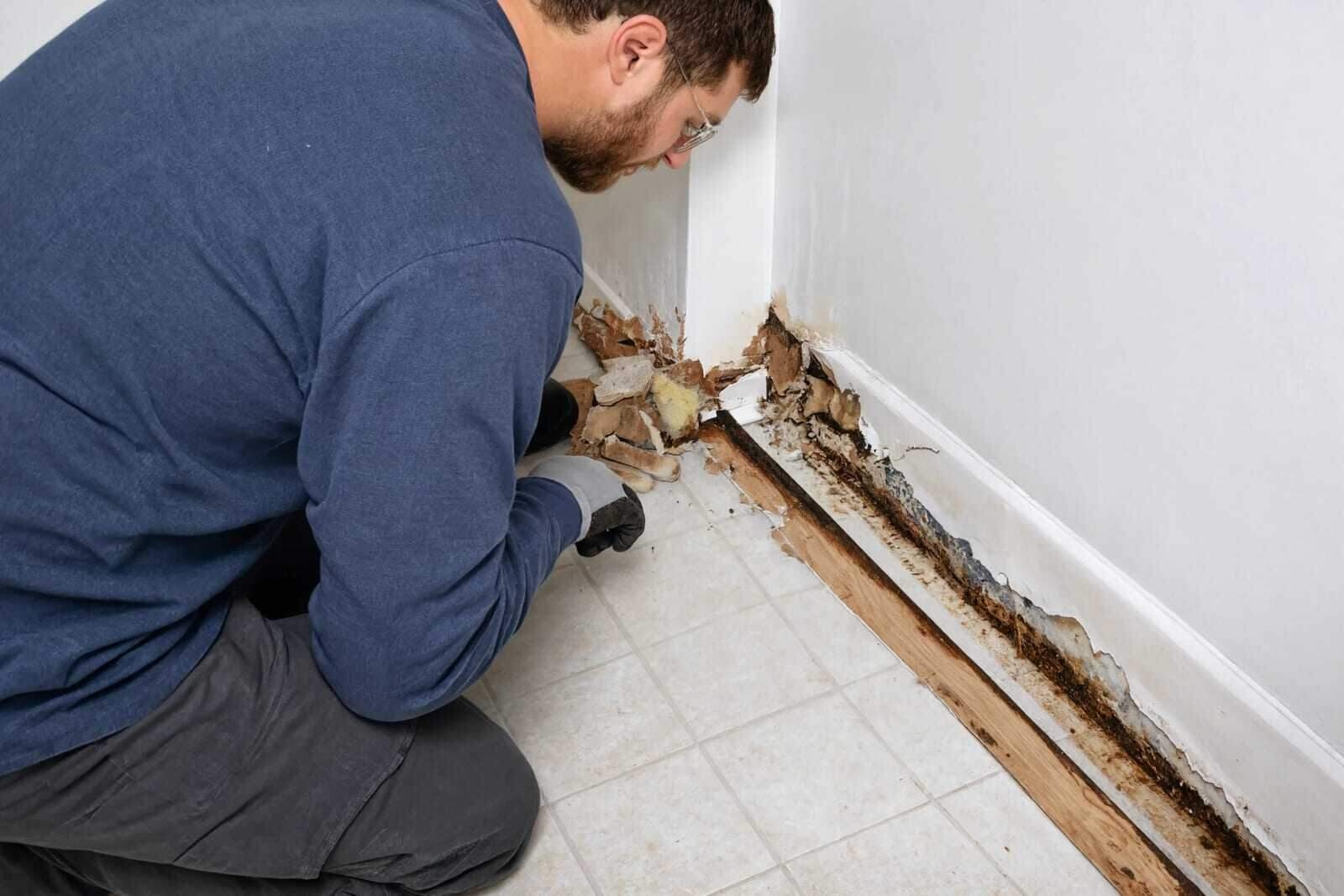 Technician removing water-damaged baseboard and drywall during sewage cleanup in a Houston home