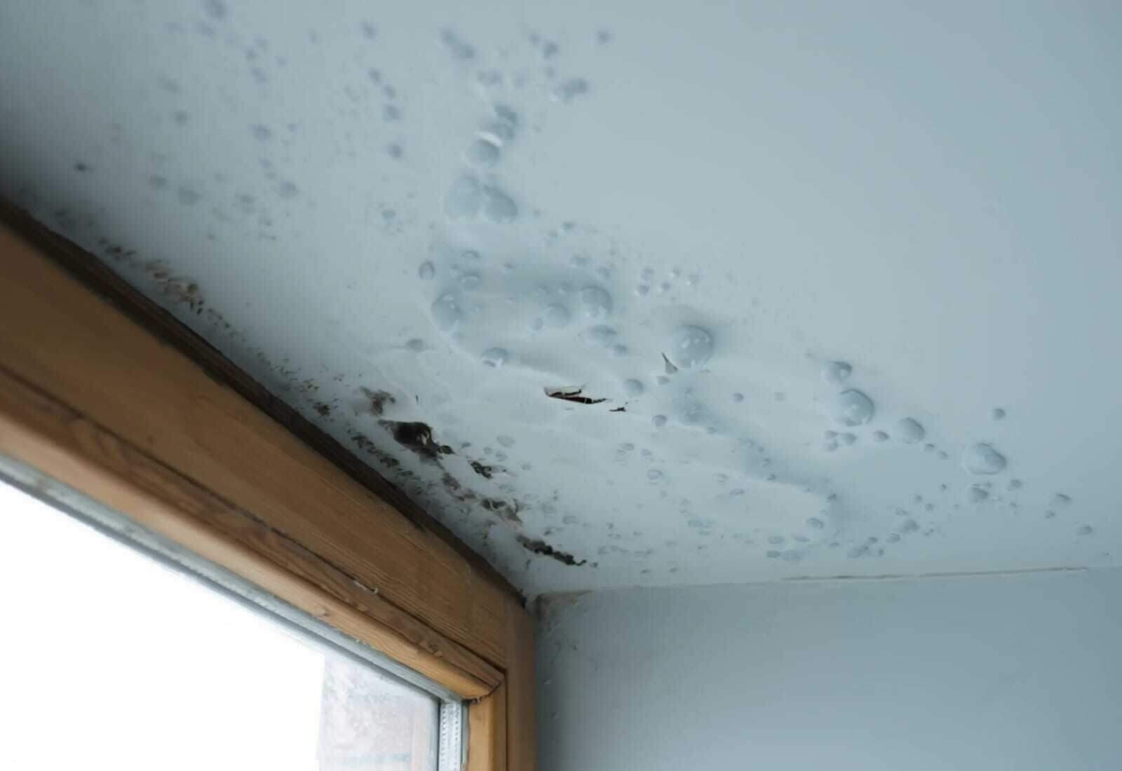 Roof water damage repair in Spring, TX